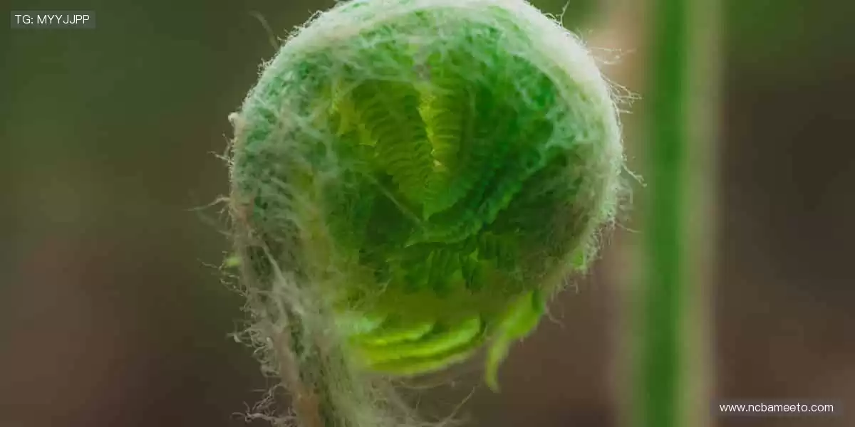 零时差直播，精彩不错过！📺